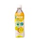 ALOE E LIMONE ML 500 PET DECA FOOD ALOE E LIMONE ML 500 PET DECA FOOD