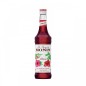 SCIROPPO IBISCO CL 70 MONIN SCIROPPO IBISCO CL 70 MONIN