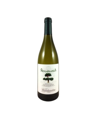 MORABIANCA FALANGHINA MASTROBERARDINO CL 75