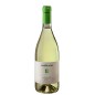 LANGHE DOC ARNEIS '23 CL 75 DAMILANO